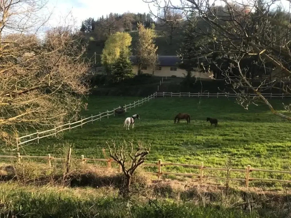 Borgo Di Cortolla