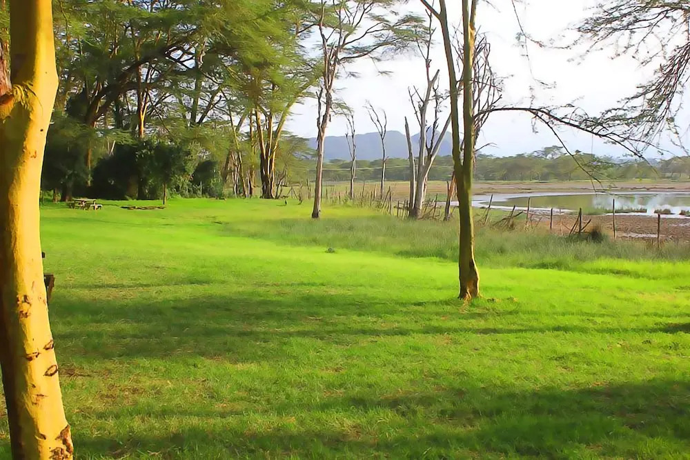 Oasis Eco Camp