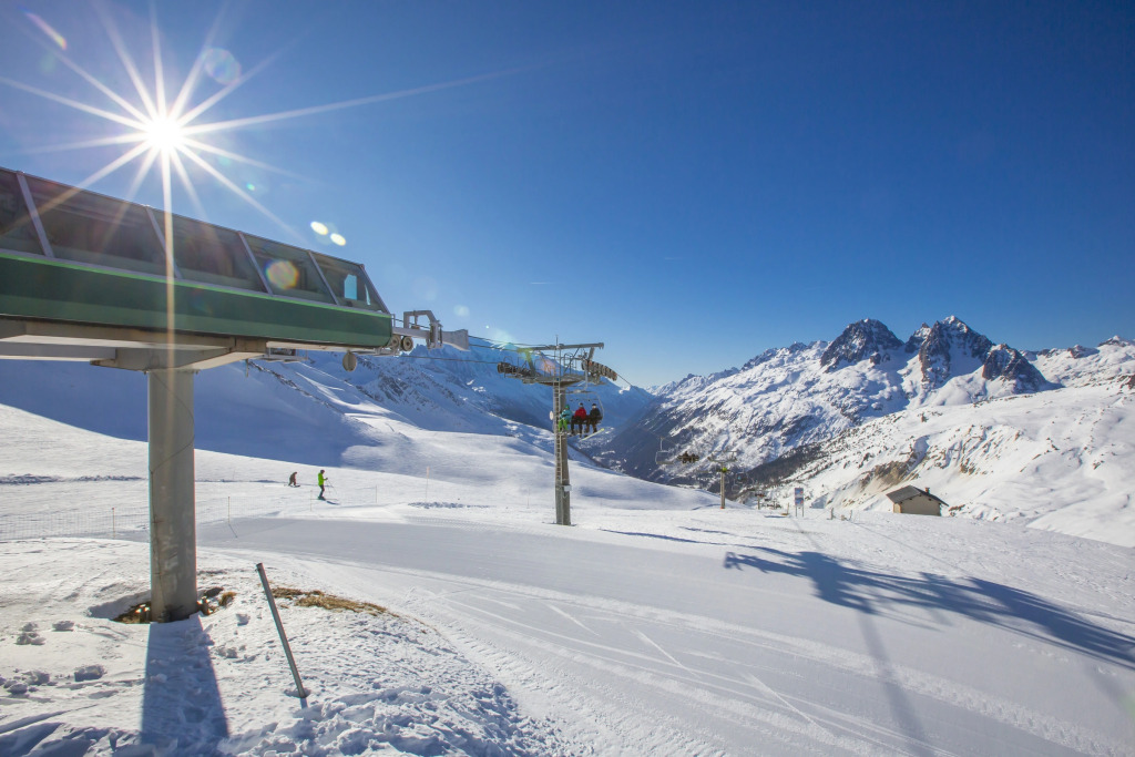 Chamonix Sud - Jonquilles 36