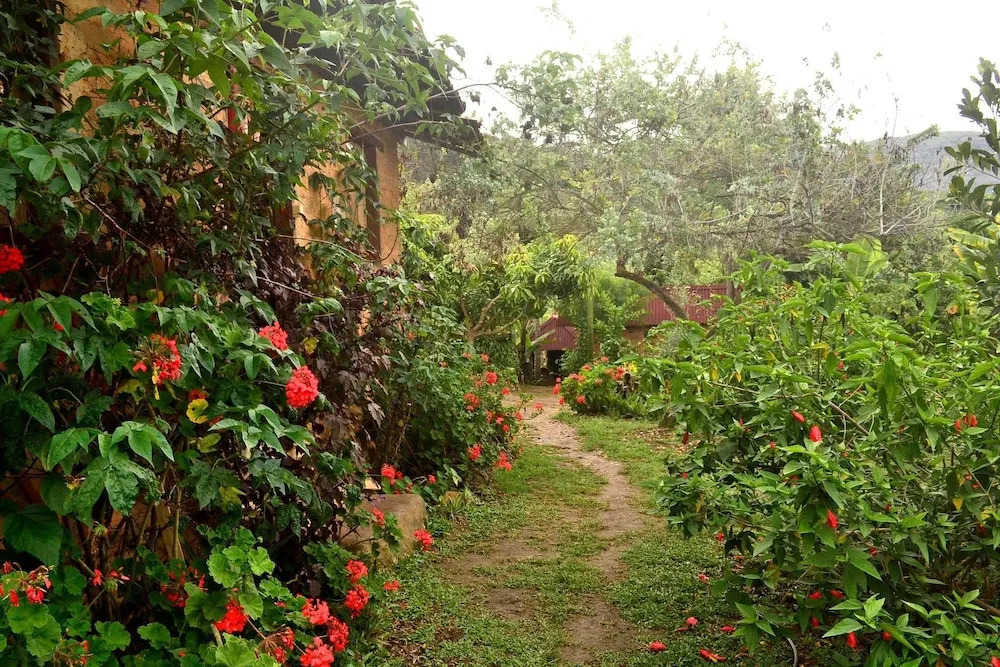Sítio Monte Alegre