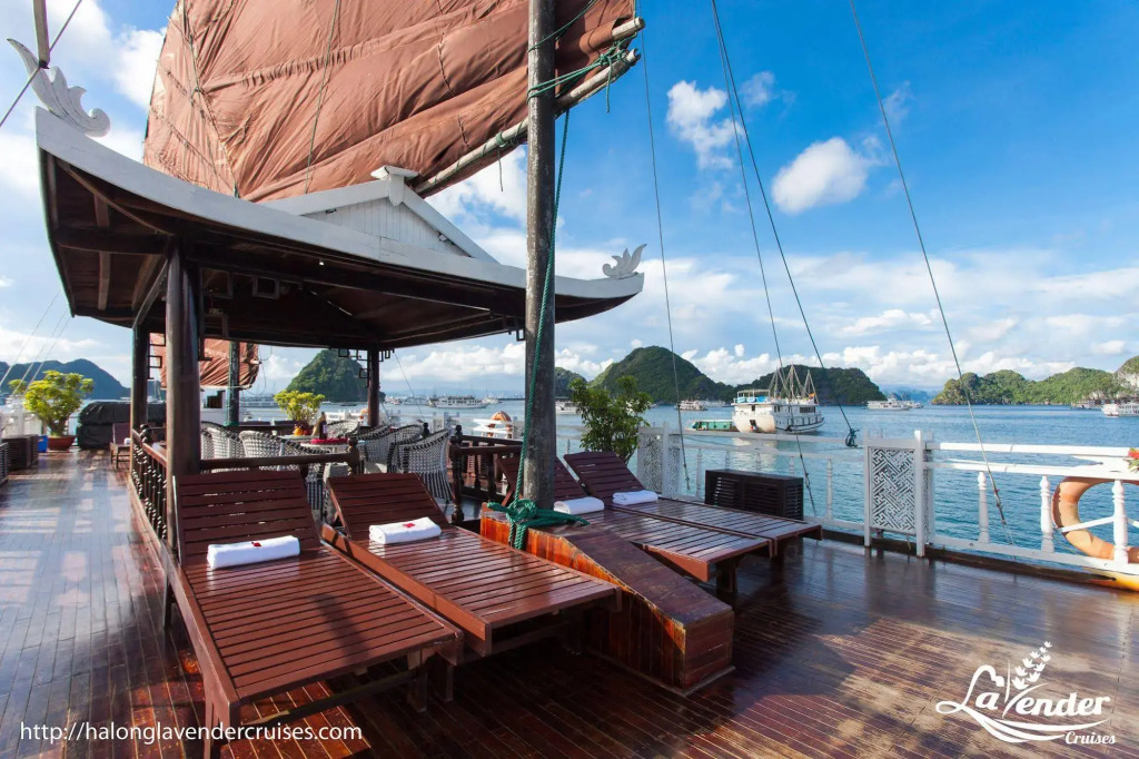 Lavender Elegance Cruise