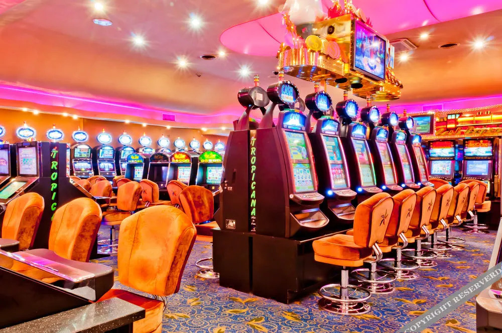 Tropicana Hotel