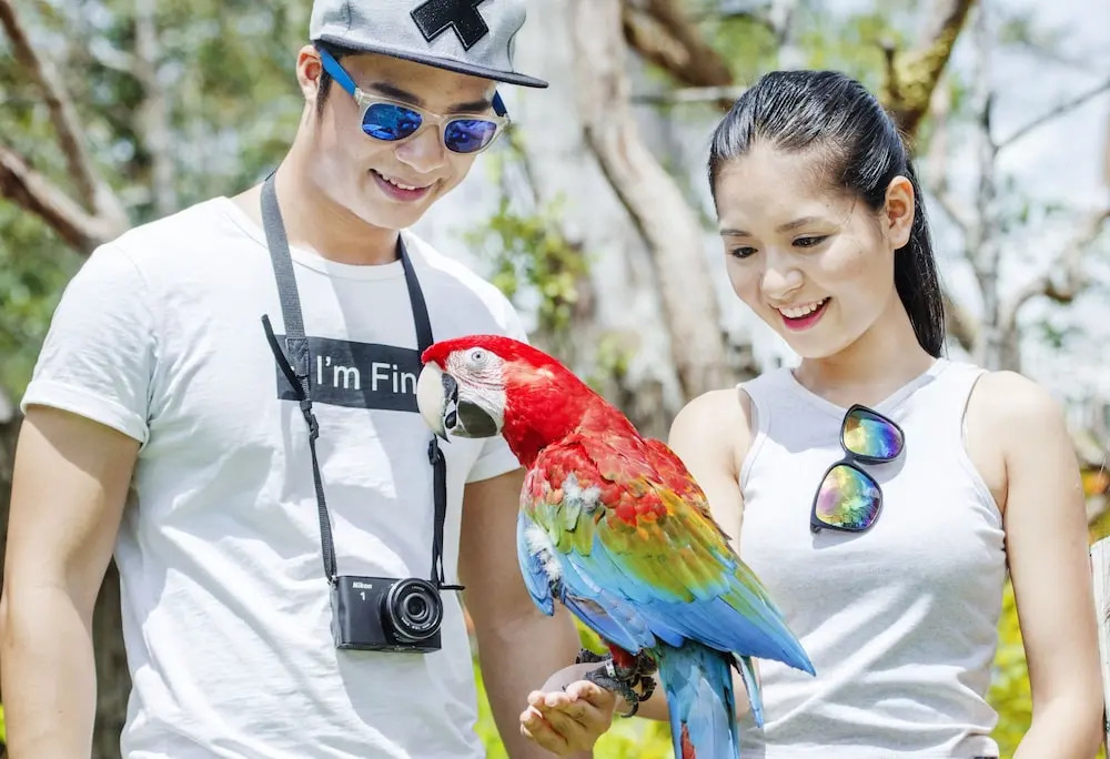 Vinpearl Discovery 3 Phu Quoc