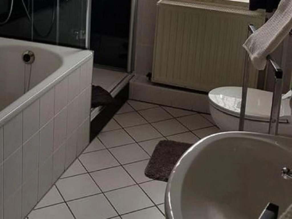 Cosy and comfortable holiday home in the Harz region