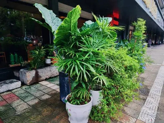 Ruoyin Hostel
