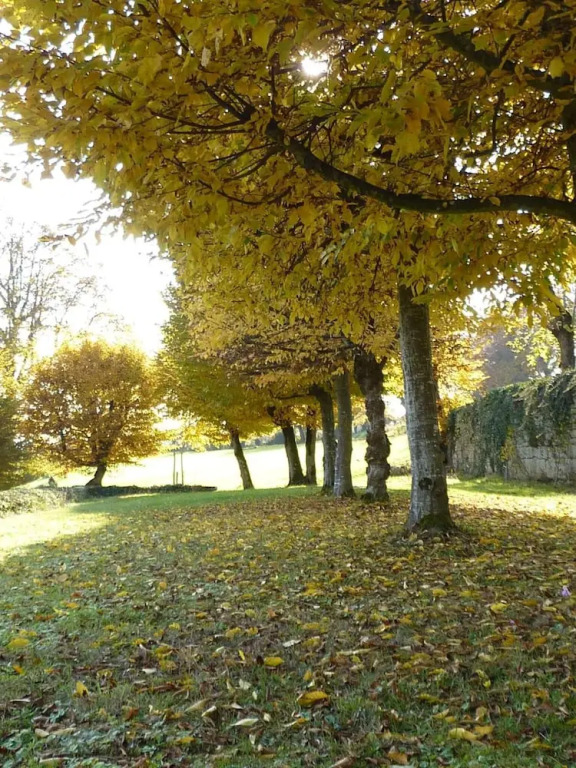 Château la hussardiere