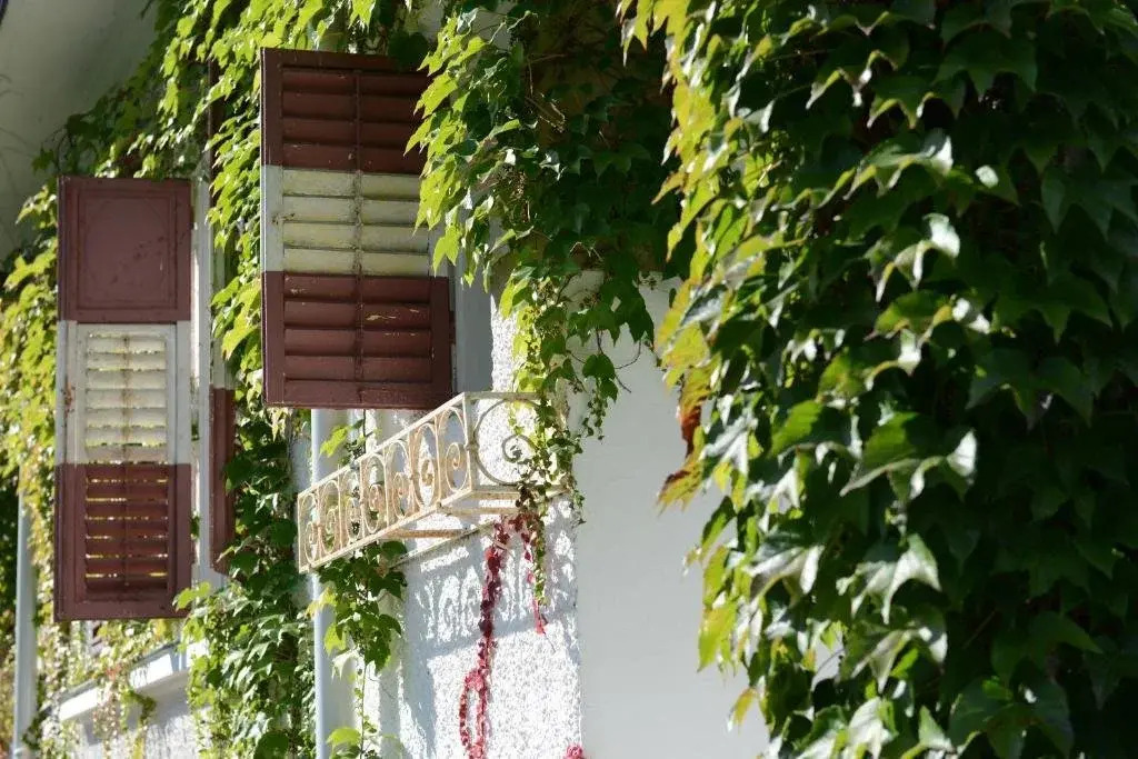 Seeappartements Eden
