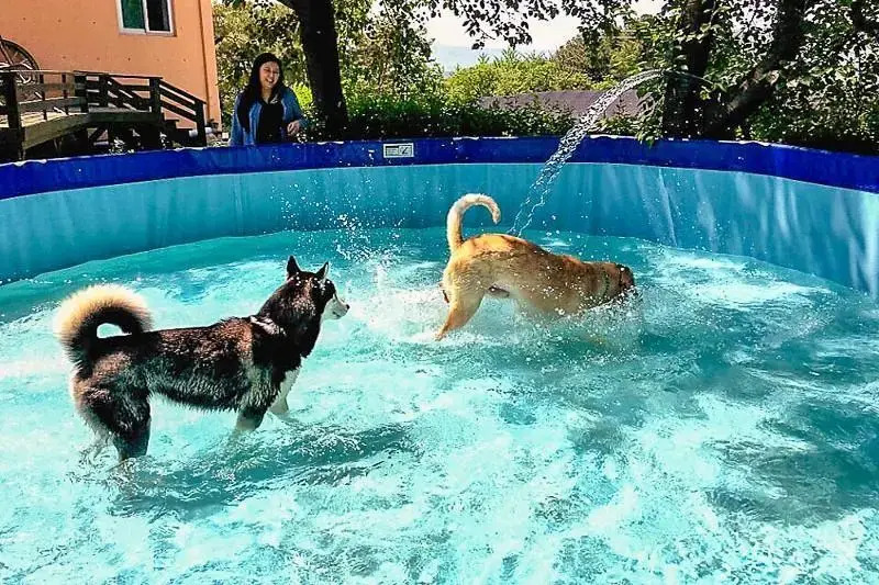 Fine Bell Pension