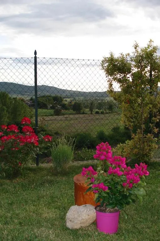 Casa la Pineta