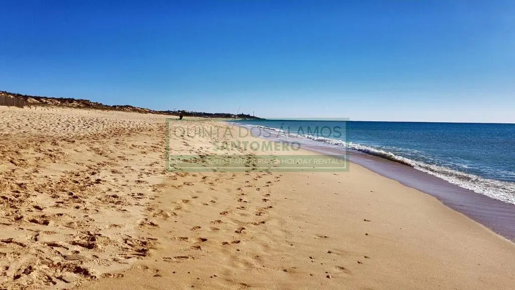 Apartamento T2 Salgados