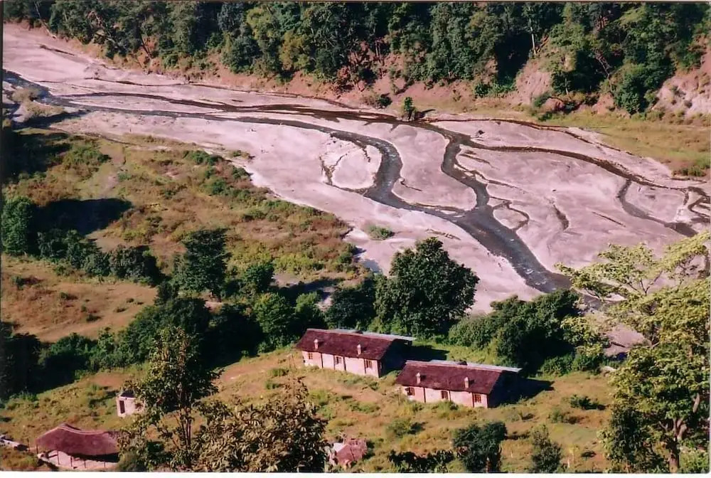 Wild Brook