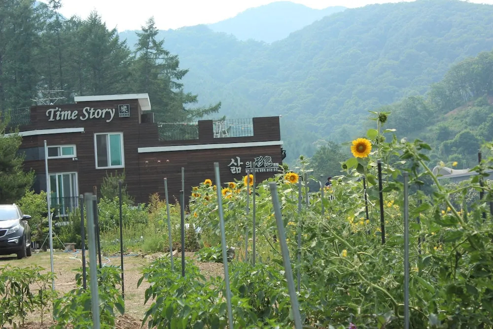 Time Story Pension