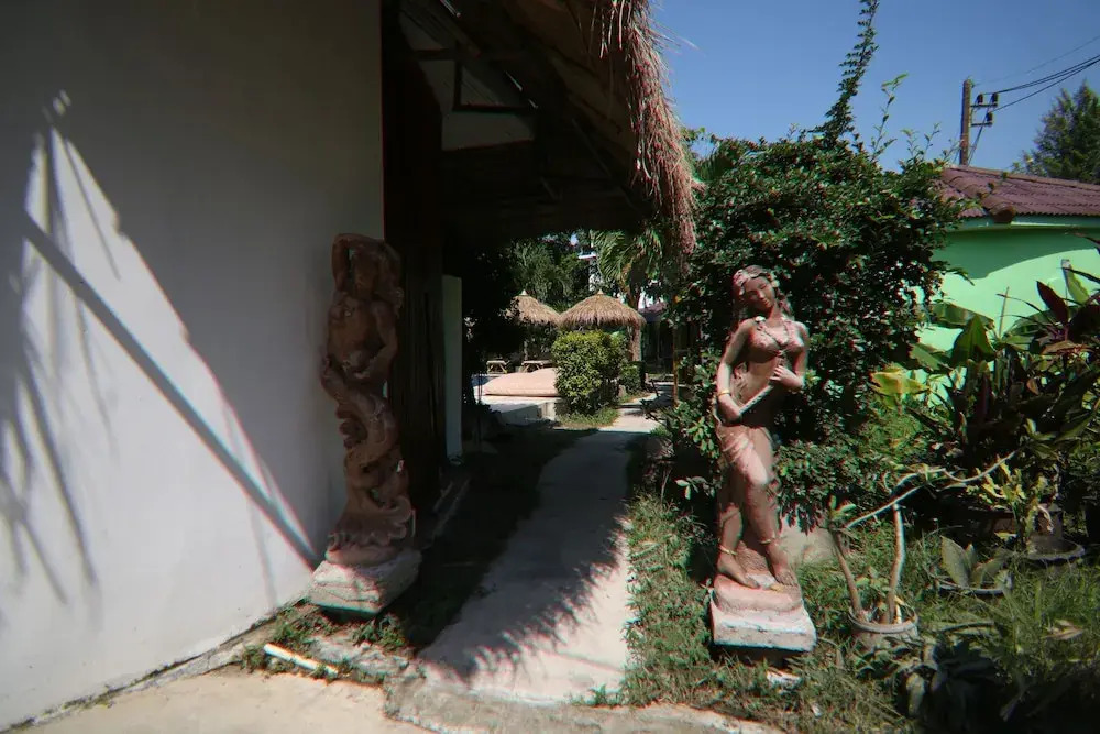 Avocado Koh Samui