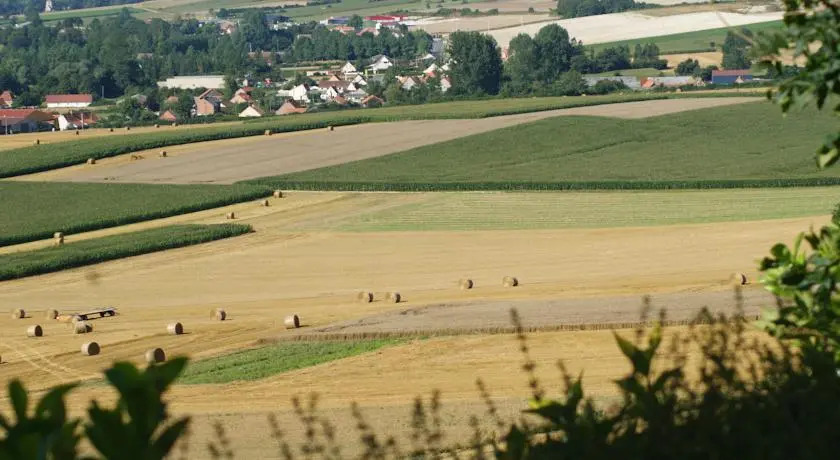 Les Sens des Bois