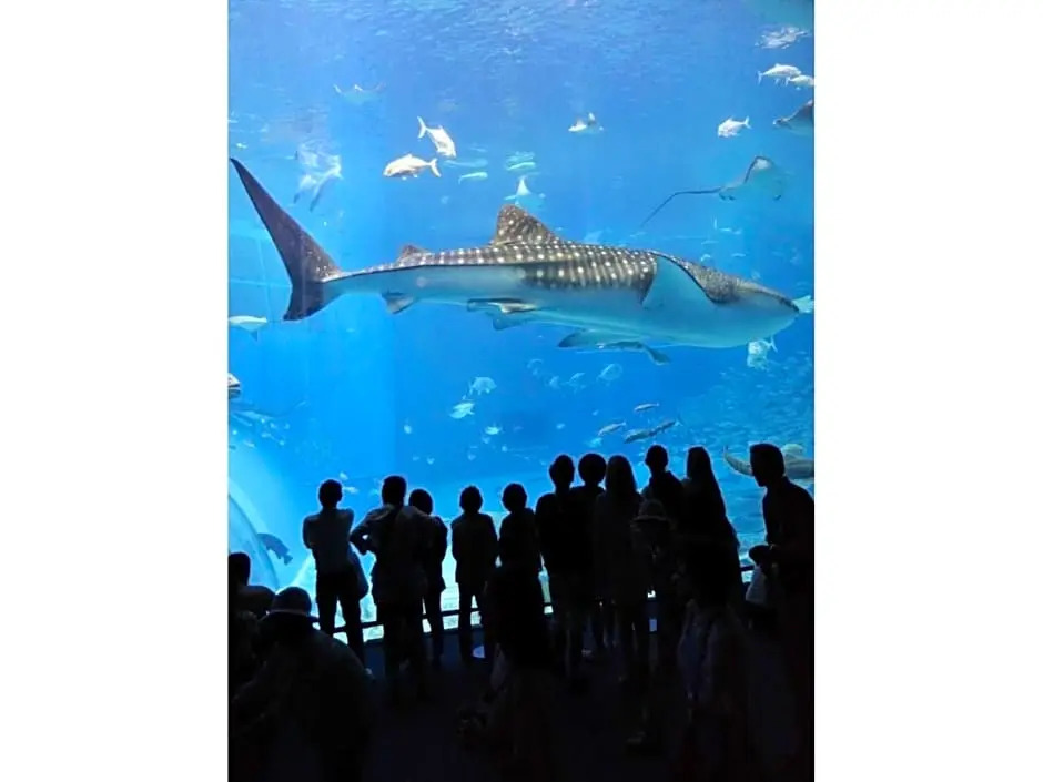 HOTEL StoRK Naha Shintoshin - Vacation STAY 27630v