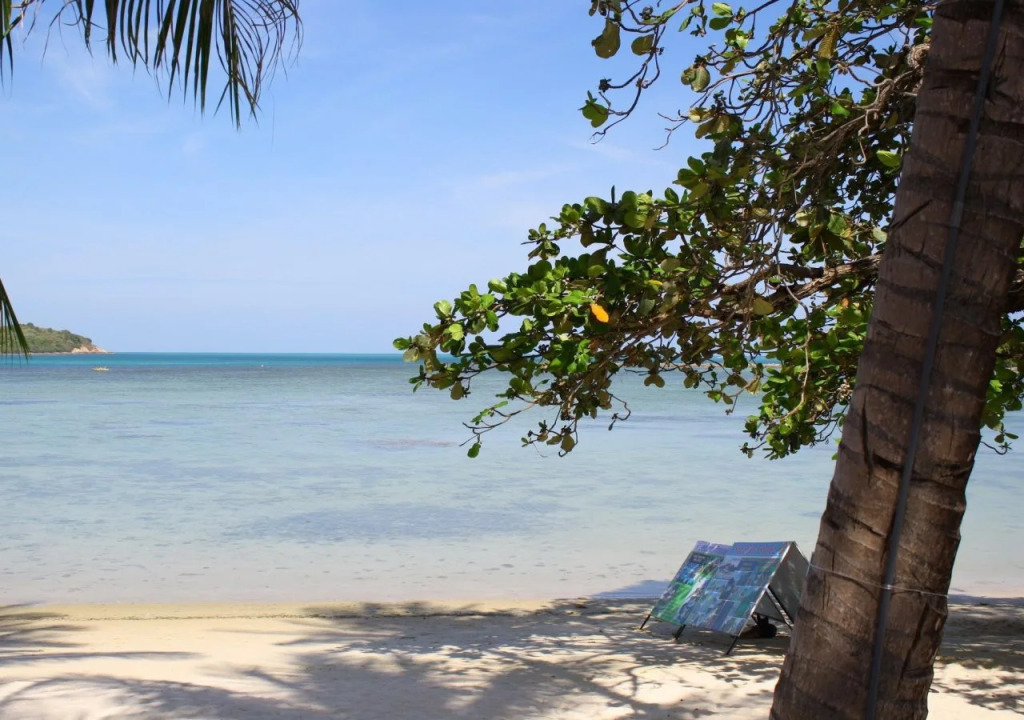 Palm Island Hotel