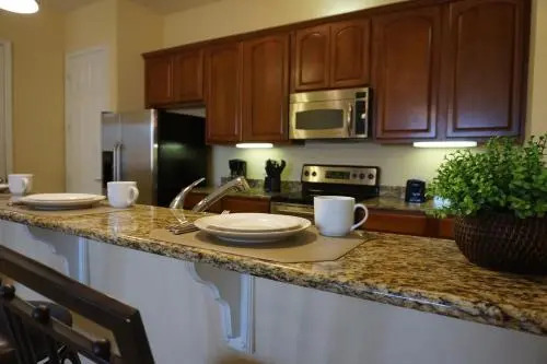 Universal Studios Area Apartment