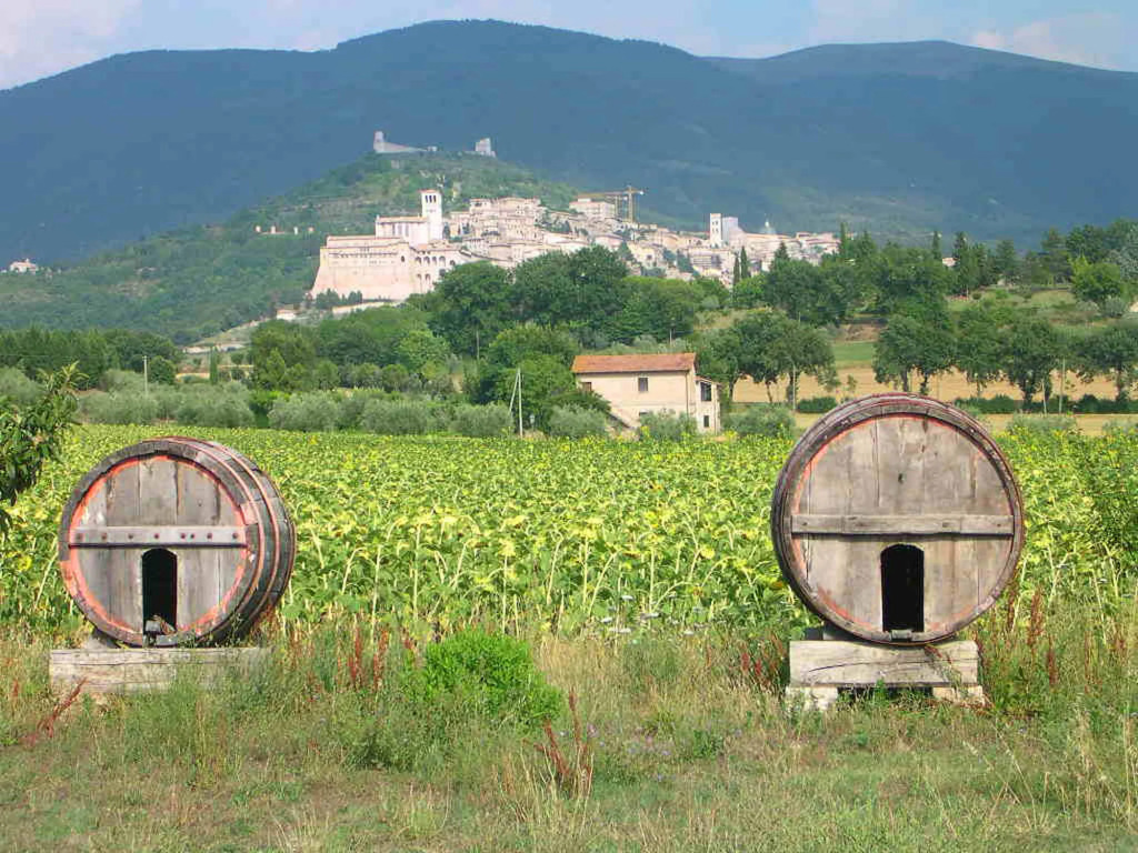 Hotel La Quiete