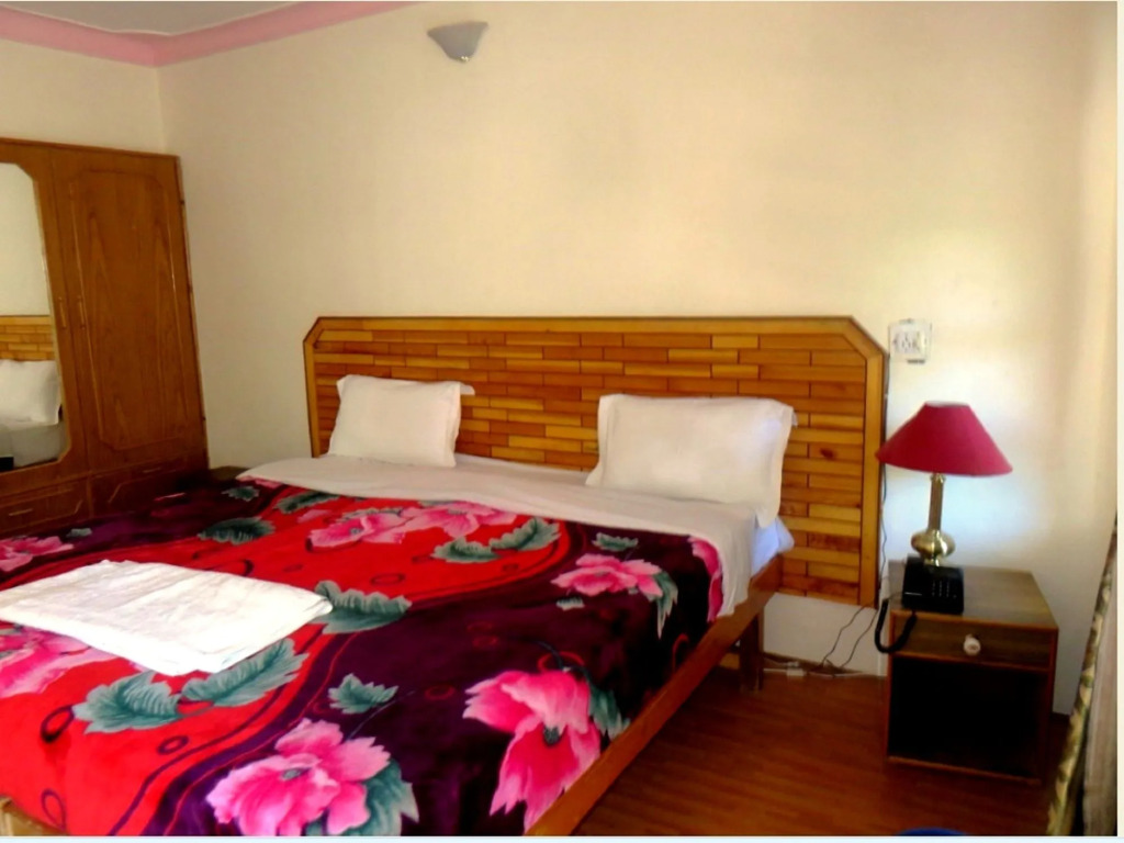 Hotel Abu Palace