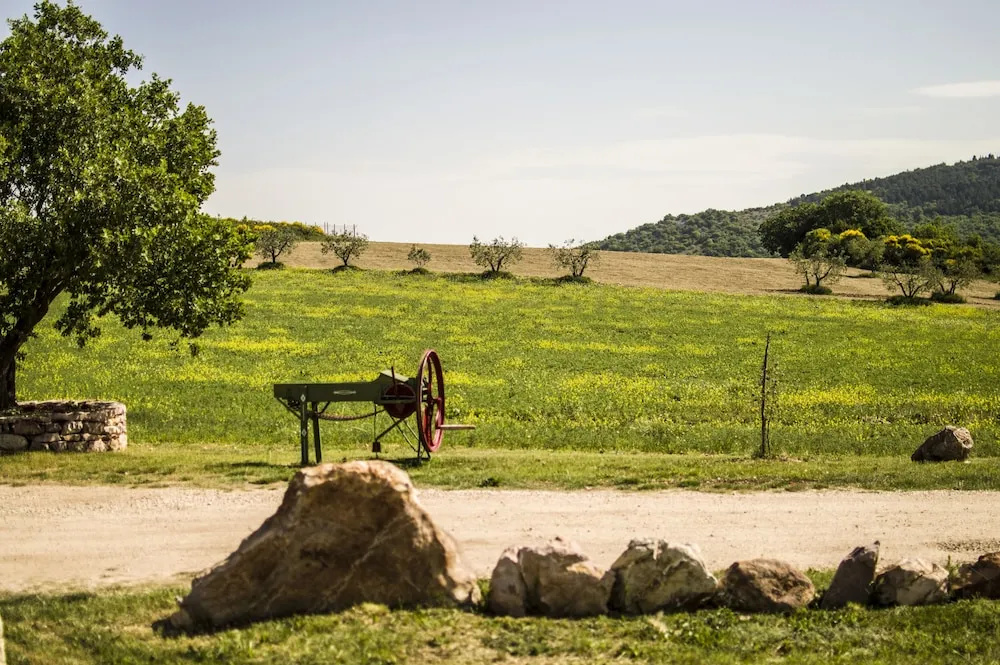 Agriturismo La Collina