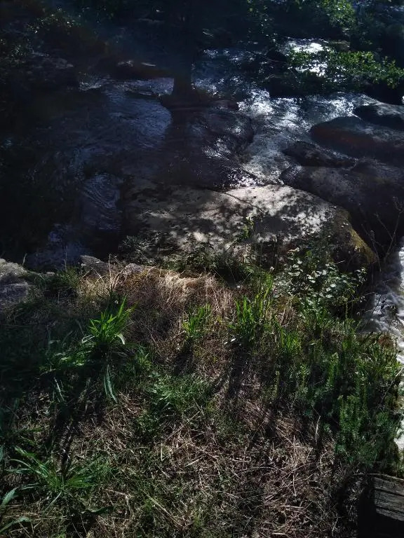 les pieds dans l'eau