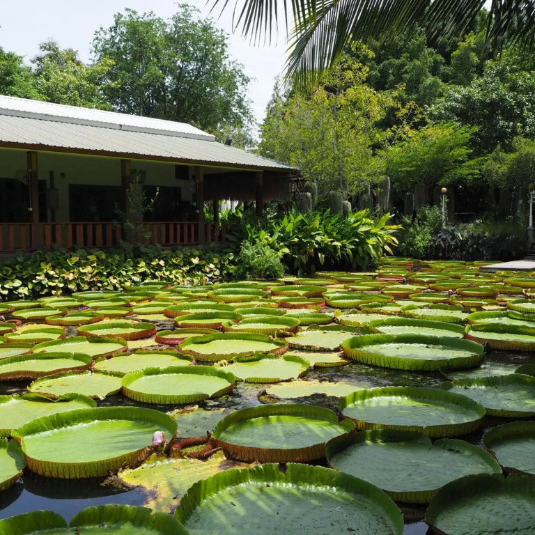 Muaan Resort
