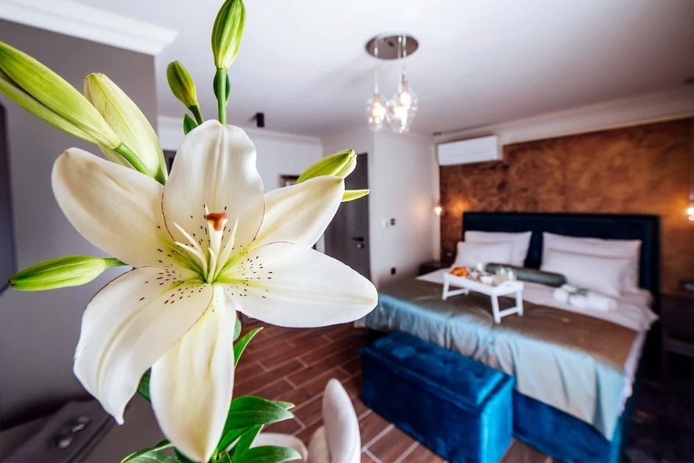 Luxury Rooms VINDEMIÆ