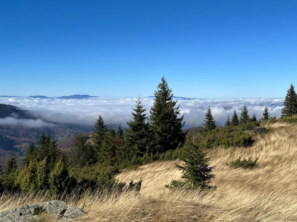 Dora, Above The Clouds 2