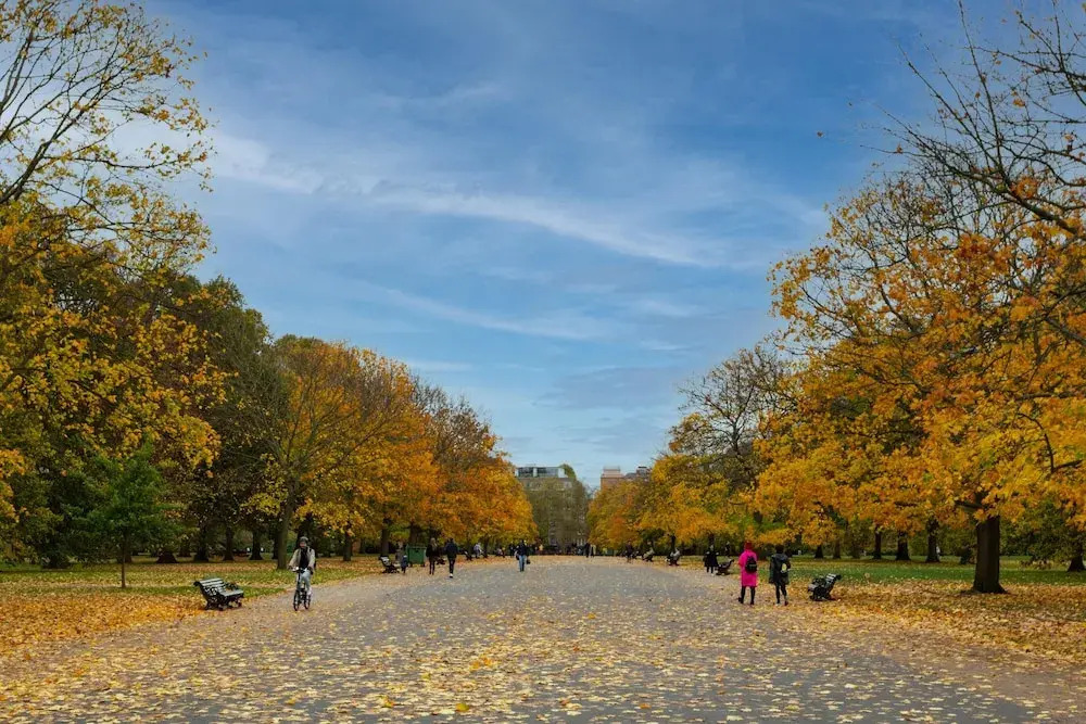 Gledhow Gardens Viii by Onefinestay