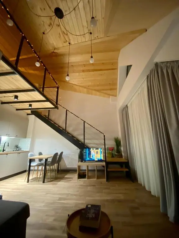 Snow Forest Bakuriani Apartment 18