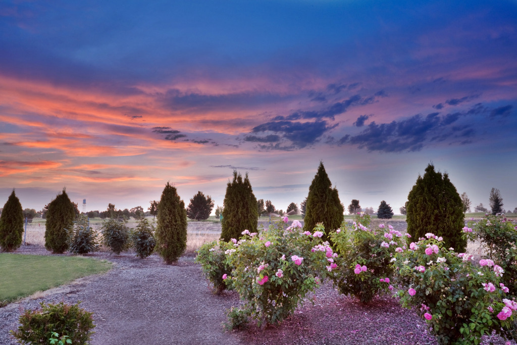 Holiday Inn Express & Suites Nampa - Idaho Center by IHG