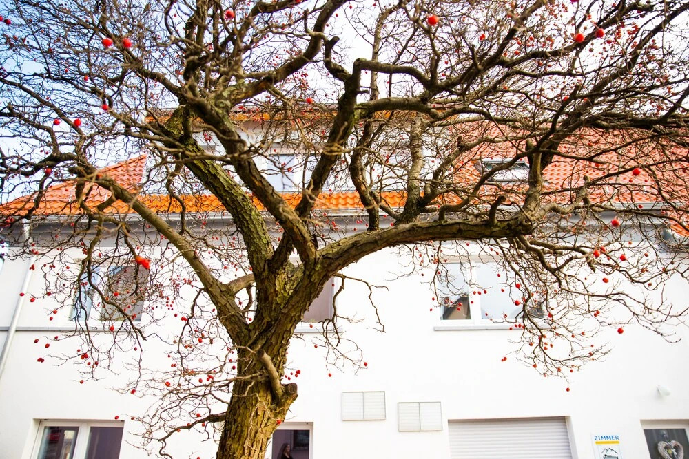 Sali Homes - GaesteHaus Lamm Obersulm