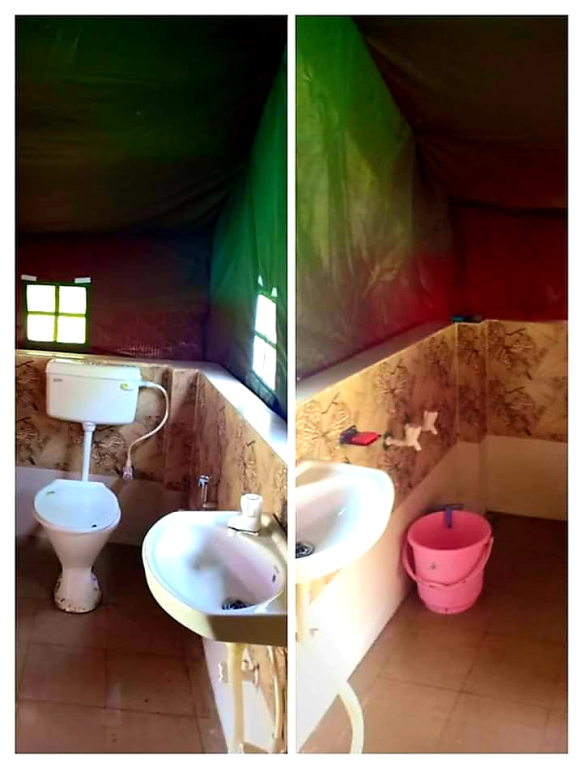 Wild Roots Camps And Resorts