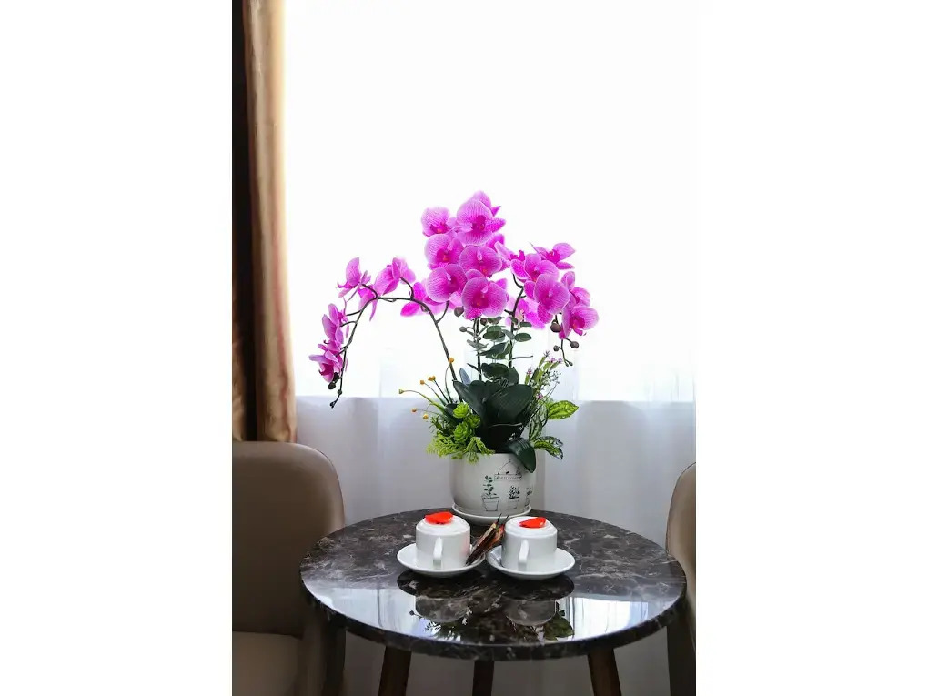 Sea Harmony Hotel