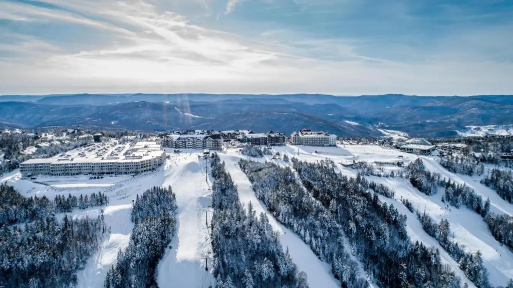 Stroll to Slopes, Village Area, Ski in-Out MtLodge 210