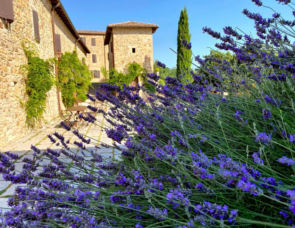 Castello di Viano