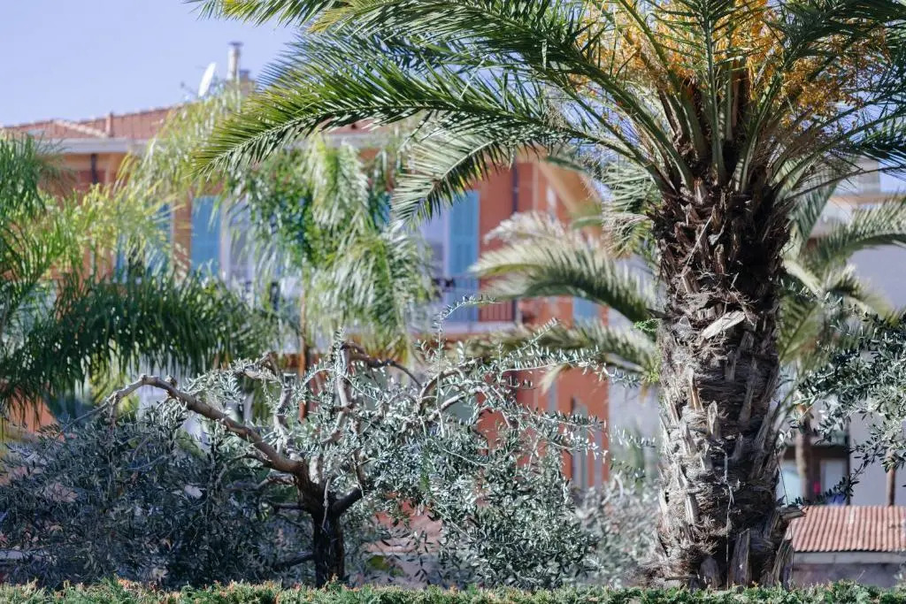 110 - Casa Sole VISTA MARE, in centro 100 metri Spiaggia