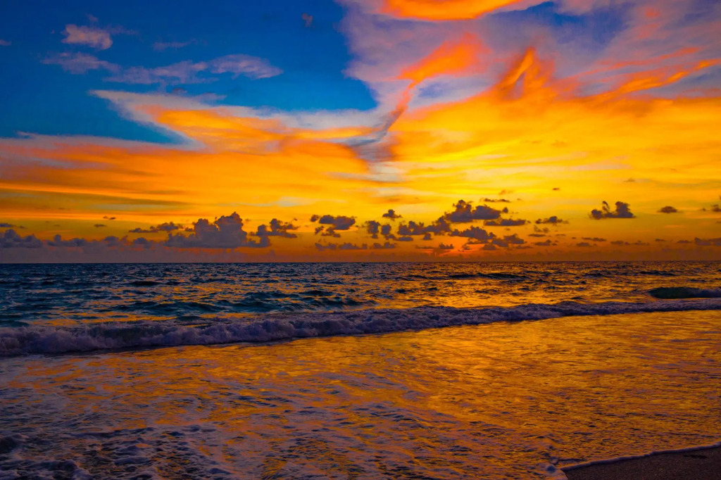 Anna Maria Island Beach Palms 7A