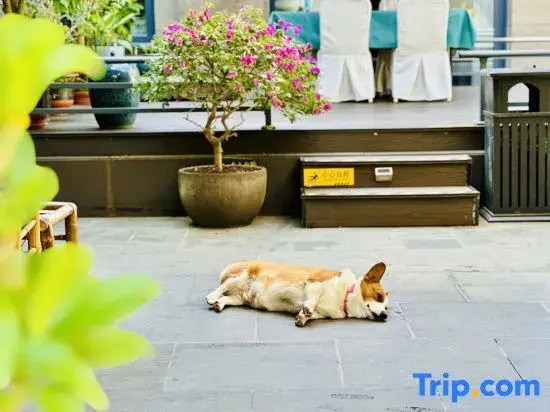 Wuzhishan Yisuli Theme Hotel