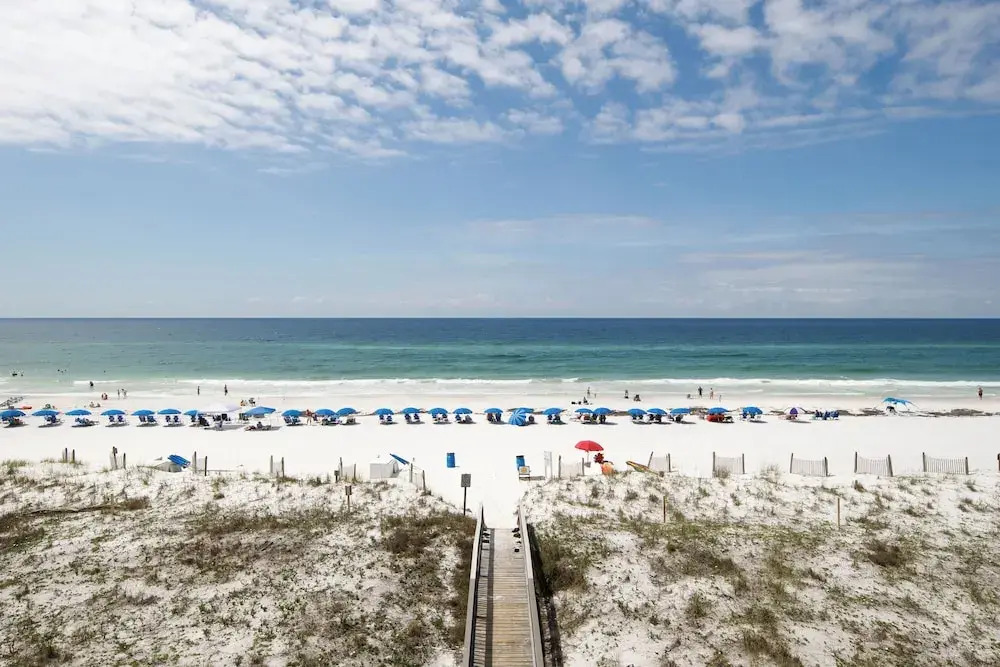 Surf Dweller 406 - The Beachcomber