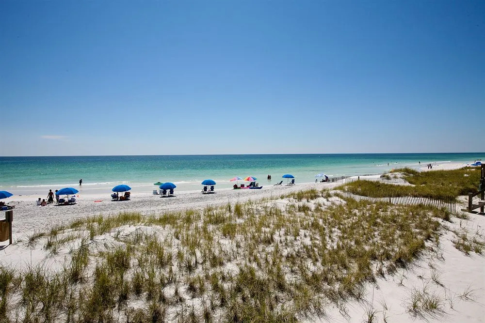 Emerald Shores