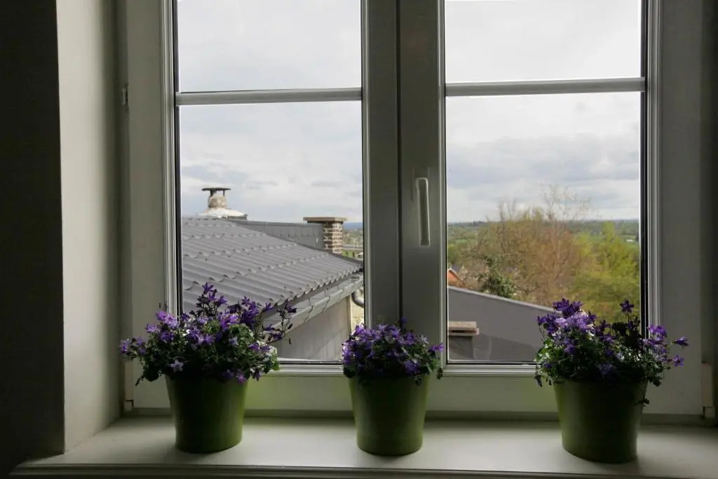 Aux Herbes Folles