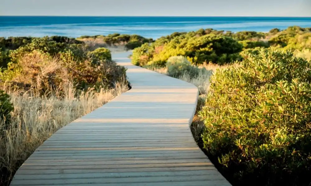 South Shores Yellowfin Villa 94 - South Shores Normanville