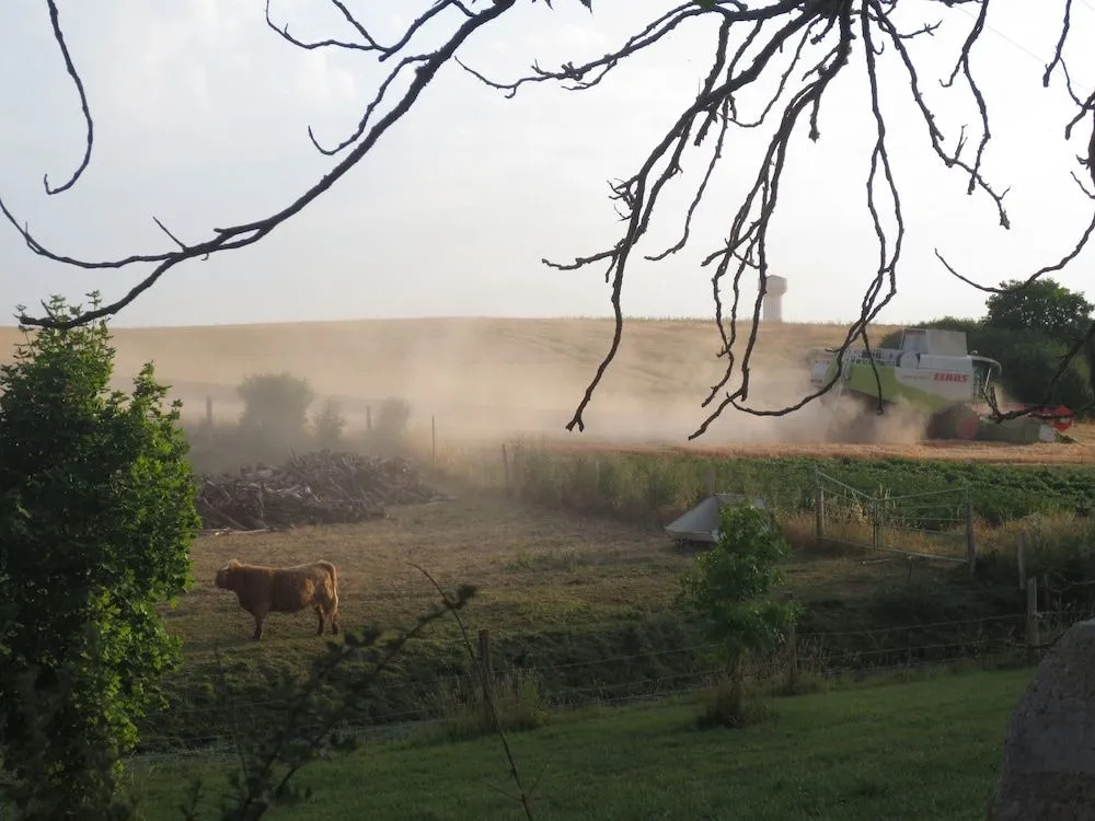Ferme de Bellevue