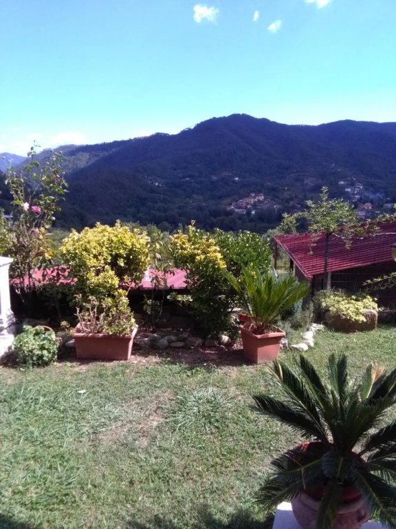 Casa Lilly