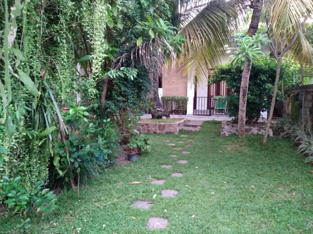 MN House
