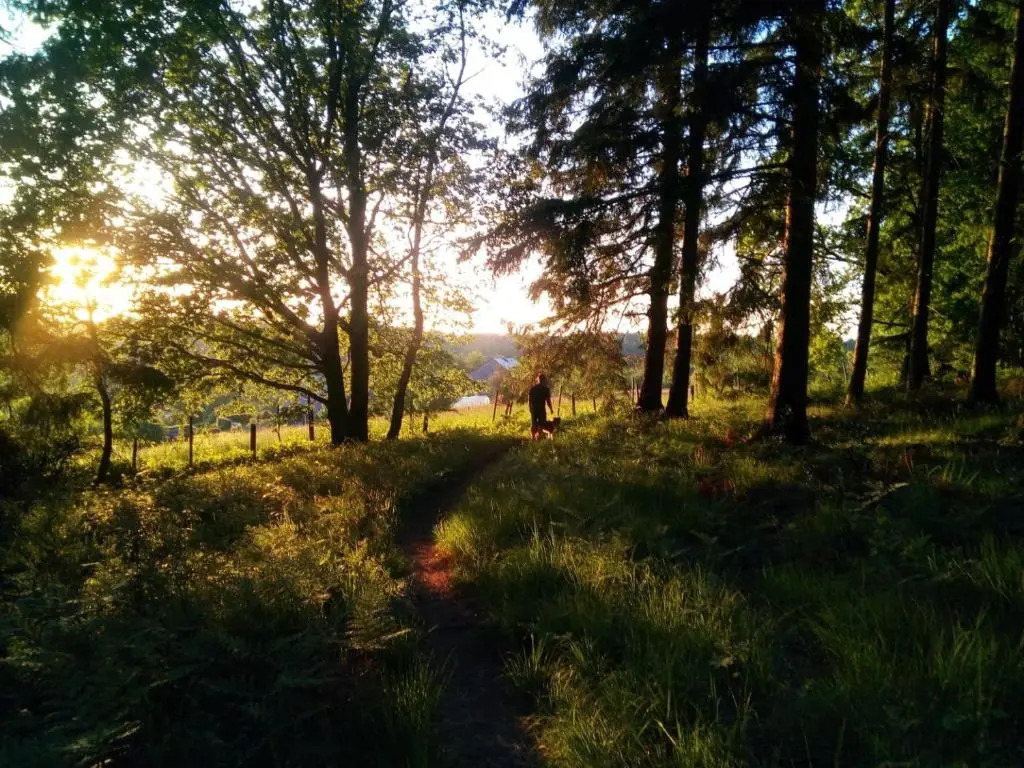 Votre Horizon