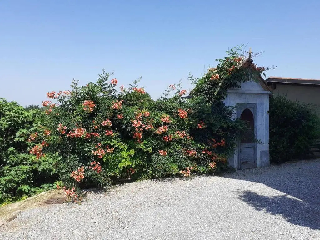 La casa di roby, grazioso appartamento
