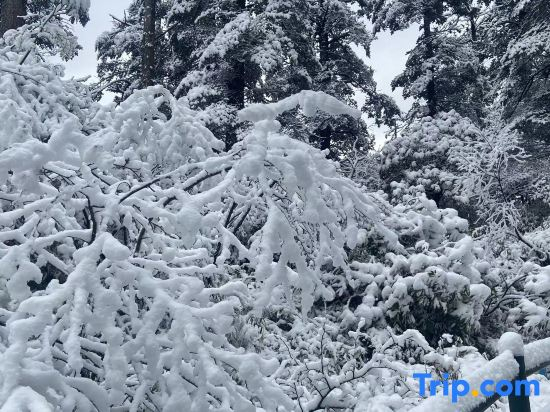 Jingshui Xianju · Leisure Time Leisure Vacation Homestay (Wawu Mountain Scenic Area)