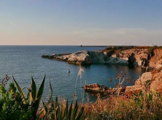 Rosalia Homestay - Ponente Apartment